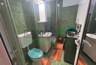 Garsoniera de vanzare  zona Noua - 11