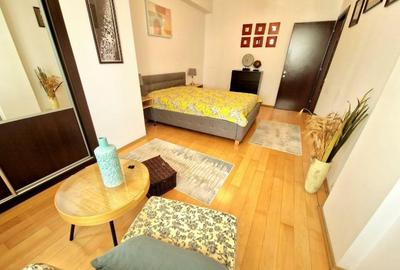 Apartament cu 2 camere semidecomandat, mobilat în Herăstrău - 11