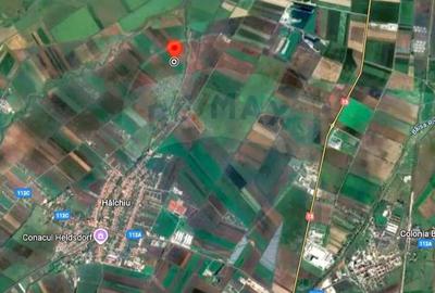 Teren de 80000 mp, în Hălchiu - 4