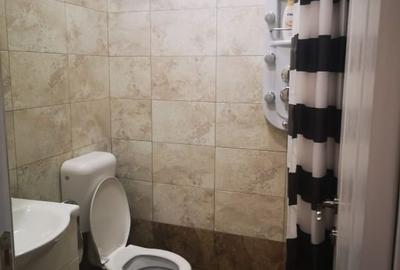 Persoana fizica vănd garsoniera cu 1 camera în casă cu curte comună - 4