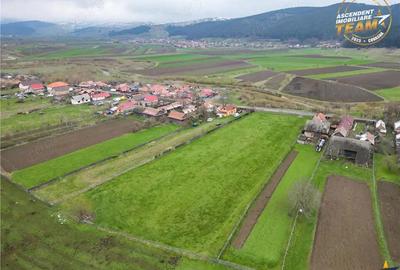 Teren de 8000 mp, în Central - 1