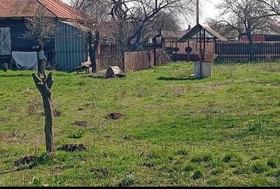 Casă individuală cu 5 camere în Bărăganul - 1