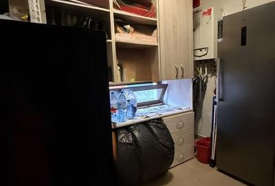 Casă cu 4 camere cu Teren 386 Mp în Valea Borcutului - 12