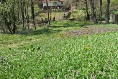Vand casa in zona de munte, com. Podeni, jud. Mehedin?i. - 1