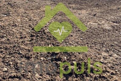 ? Teren intravilan 10.000 mp Mesteacan, jud. Hunedoara ? - 8