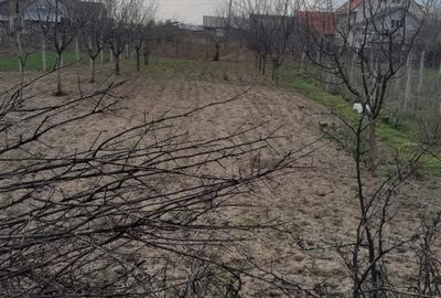 Casă cu 2 camere în Deleni - 2