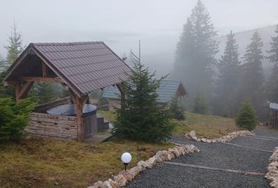 Casă cu 4 camere în Dealu Botii - 3