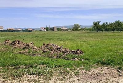M.KOGALNICEANU-960 MP, TEREN INTRAVILAN. - 2