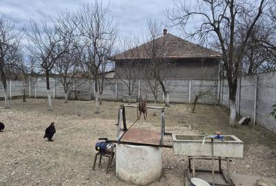 Spațiu comercial, în Nădab - 3