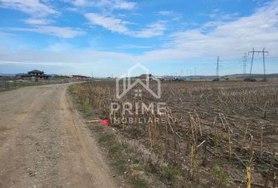 Teren de 8300 mp, în Oarda - 2