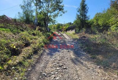 Teren intravilan in Poiana Campina 4285 mp parcelabil 11,6e - 15