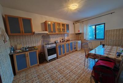 Casa individuala P+ETAJ+M 208 mp + 635 mp TEREN - BUCIUM - 6