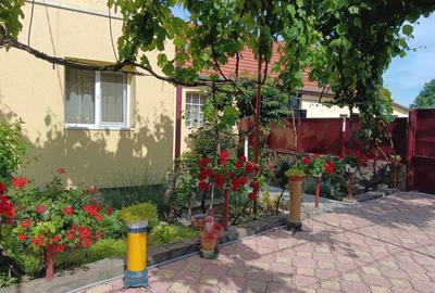 Casă cu 4 camere în Ineu - 1