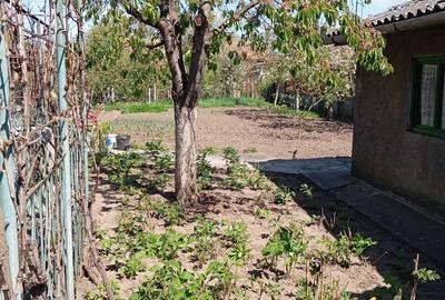 Casă cu 4 camere în Central - 1