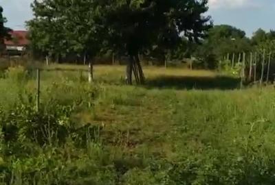 Casă cu 2 camere în Cuvin - 5