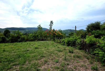 Teren Construcții intravilan de 2600 mp, în Drăgăneasa - 2