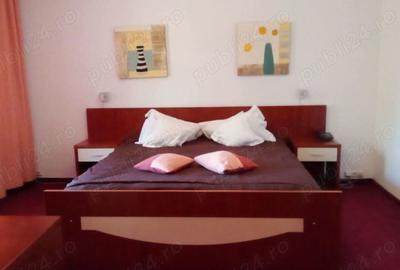 Garsoniera 205 lei single ?i 240 lei double, 5 minute mers pe jos de Catedrala din Timi?oara - 2