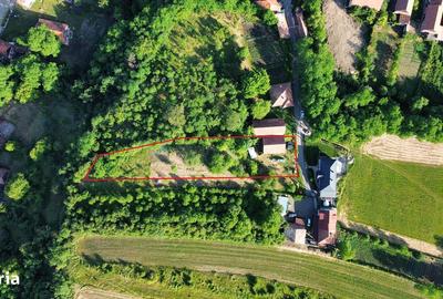Teren de 1719 mp, în Baciu