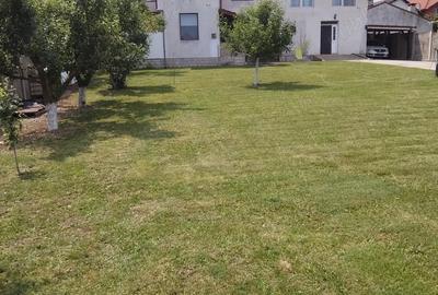 Casă cu 3 camere cu Teren 1054 Mp în Zăvoi - 4