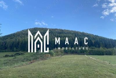 Teren agricol intravilan de 4129 mp, în Gura Râului - 3