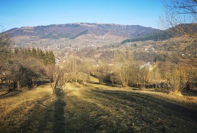 Teren de 1425 mp, în Valea Doftanei - 1