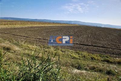 Teren iesire din Nicolae Balcescu, la 200ml de E85 Bacau - 4