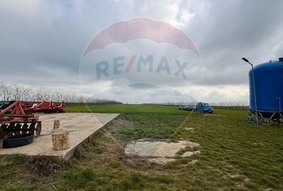 Teren agricol extravilan de 60000 mp, în Săcele - 12