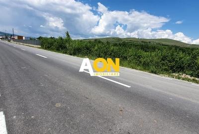 Teren de vanzare, zona soseaua de Centura, 10.000MP, deschidere 50ml - 1