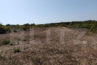 Teren de 2104 mp, în Cârcea