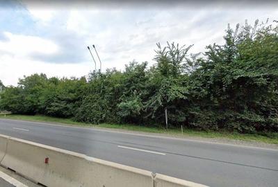 Teren Construcții intravilan de 33600 mp, în Săftica