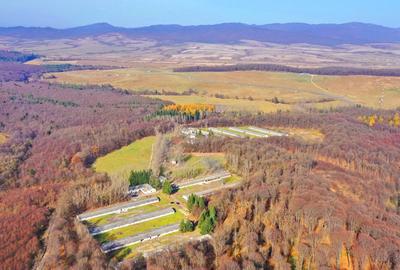 Teren Intravilan - Amplasare Unica - 11