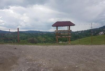Teren de 1700 mp, în Pietroșița - 3