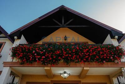 Casa deosebita de vanzare | Exceptional house for sale - 4