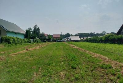 Teren Construcții intravilan de 3800 mp, în Lilieci - 3