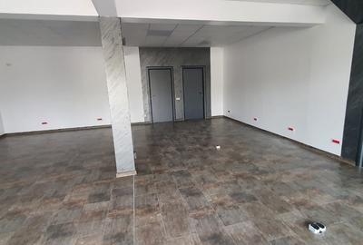 Vanzare  Vila  Individuala   Voluntari   180 000eur - 10