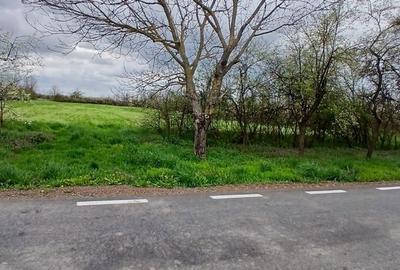 Teren de 6500 mp, în Racovița - 5