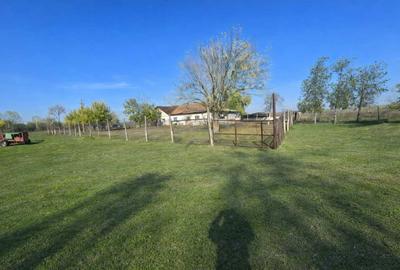 Casă cu 3 camere în Măceșu de Jos - 8