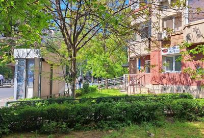 Spatiu comercial de inchiriat Soseaua Virtutii 4 - 3