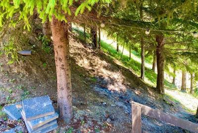 Casă cu 4 camere în Colibița - 12