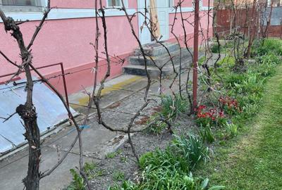 Casă cu 3 camere în Voivodeni - 3