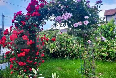 Casă cu 7 camere cu Teren 3000 Mp în Central - 1