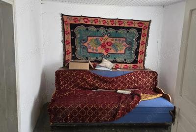 Vand casa si teren intravilan, Popesti, Vaslui - 2