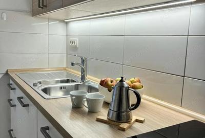 Apartament cu o camera de inchiriat in zona Elisabetin - 2