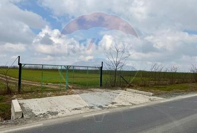 Teren agricol extravilan de 60000 mp, în Săcele - 10
