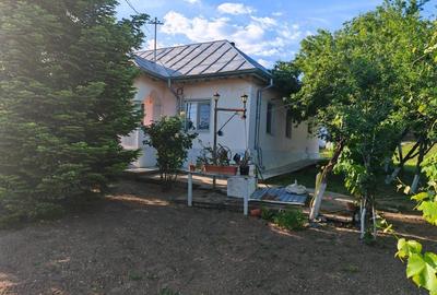 Casă cu 3 camere cu Teren 3000 Mp în Central - 7