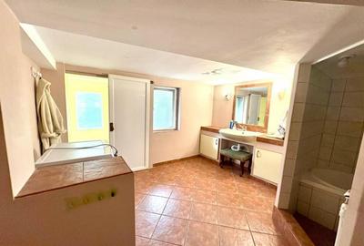 Chitila – T. Vladimirescu, casa individuala 4 camere, lot 530 mp. - 13