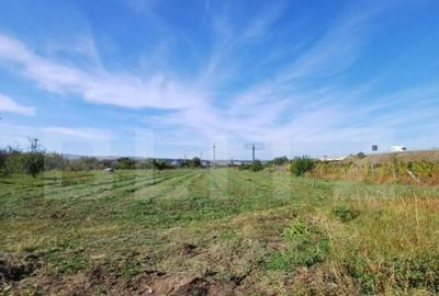 Teren extravilan, cu CF, 2963 mp, in Mihai Viteazu - 1