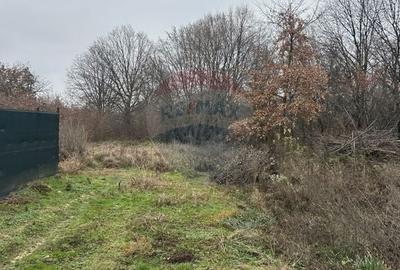 Teren intravilan de 1200 mp, în Satu Nou de Jos - 3