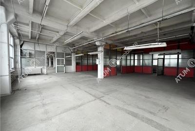 Hala industriala compartimentata in 5 spatii situat in zona Centrala - 3