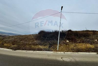 Teren Dezmir 2900 mp de vanzare, strada Trandafirilor, 0% Comision - 2